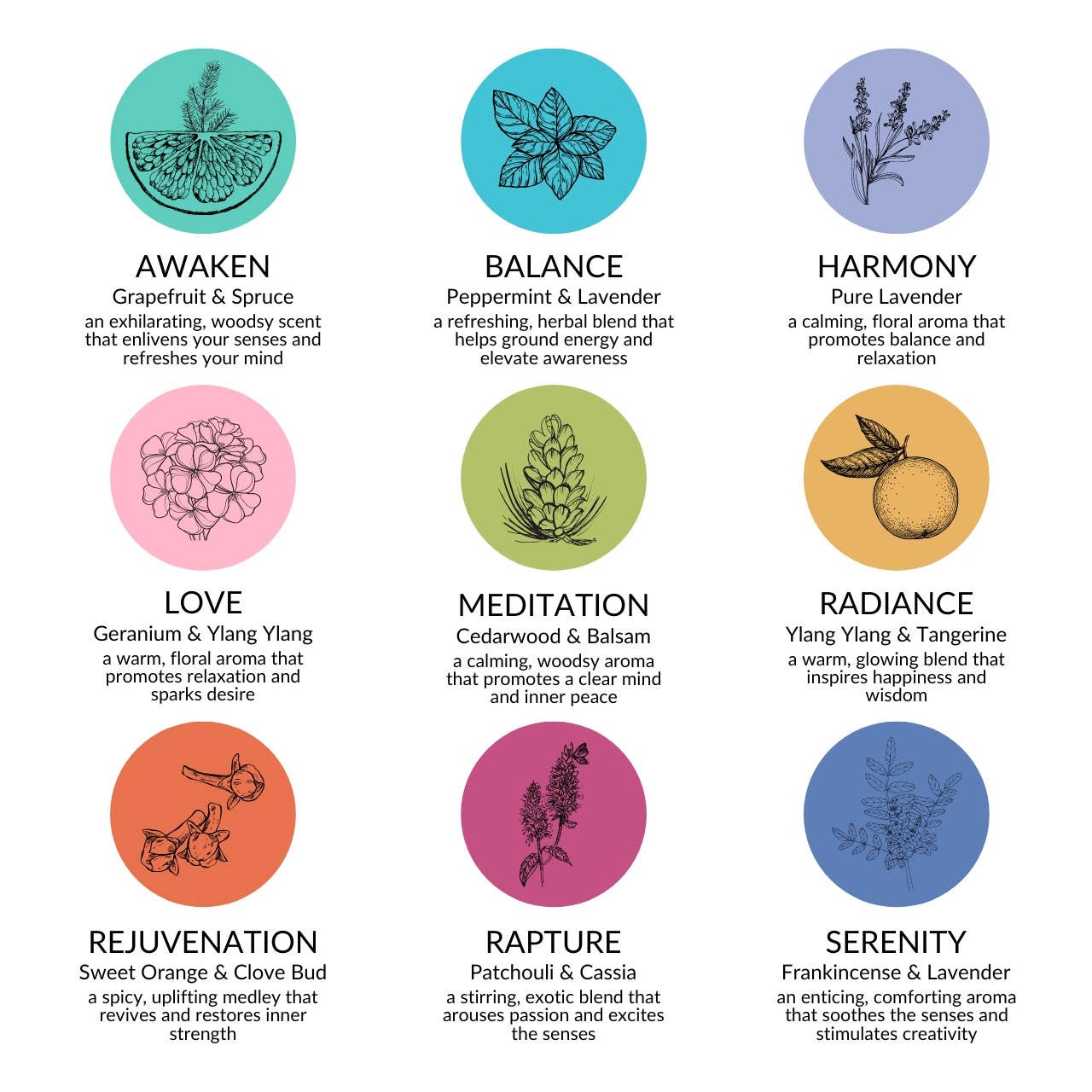 Big Dipper Wax Works - Wholesale Votive Candle - Votive Candles – Beeswax Aromatherapy – 15 Hour Burn2