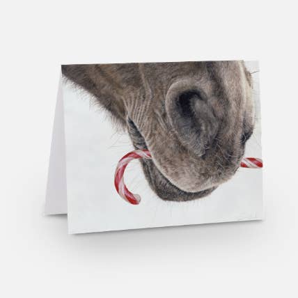 Crystal Clarke Animal Art - Wholesale Everyday Greeting Card - Christmas Greeting Card - Premium Horse Art Card1