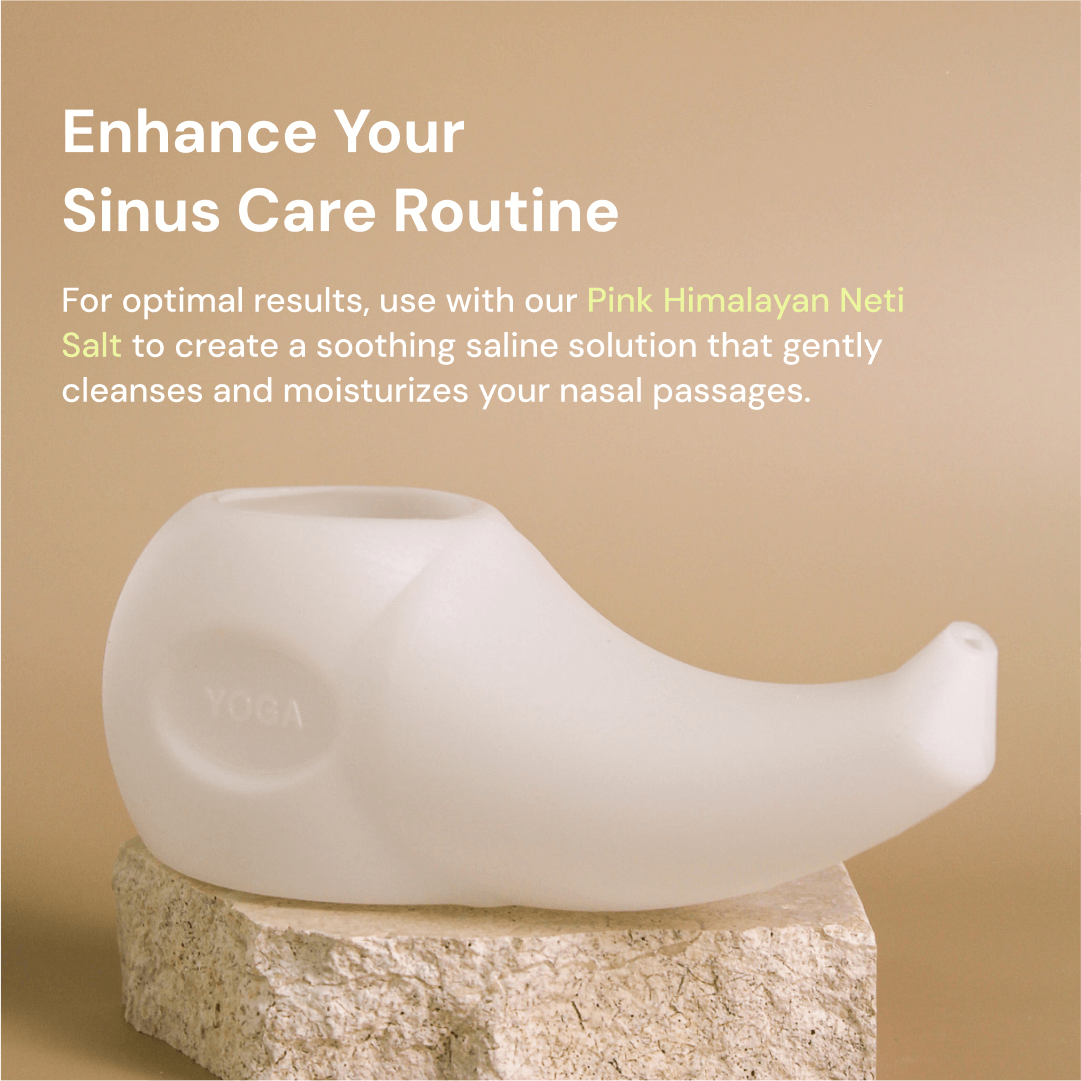 Nature's Rite - Wholesale Nasal Care - Travelers Neti Pot (Plastic)2