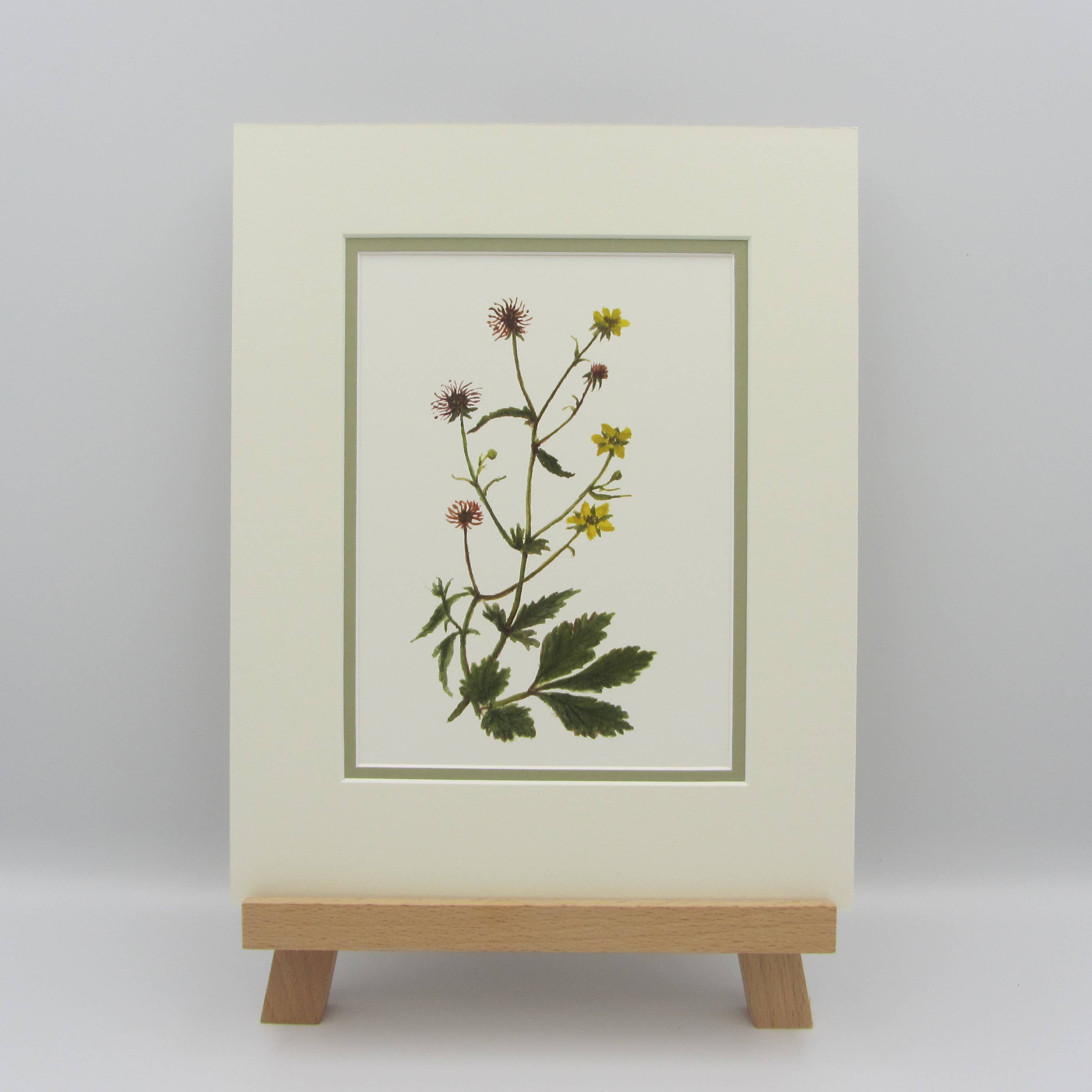Sophia Davenport - Wholesale Art Print - Wildflower Watercolour Mounted A5 Prints3