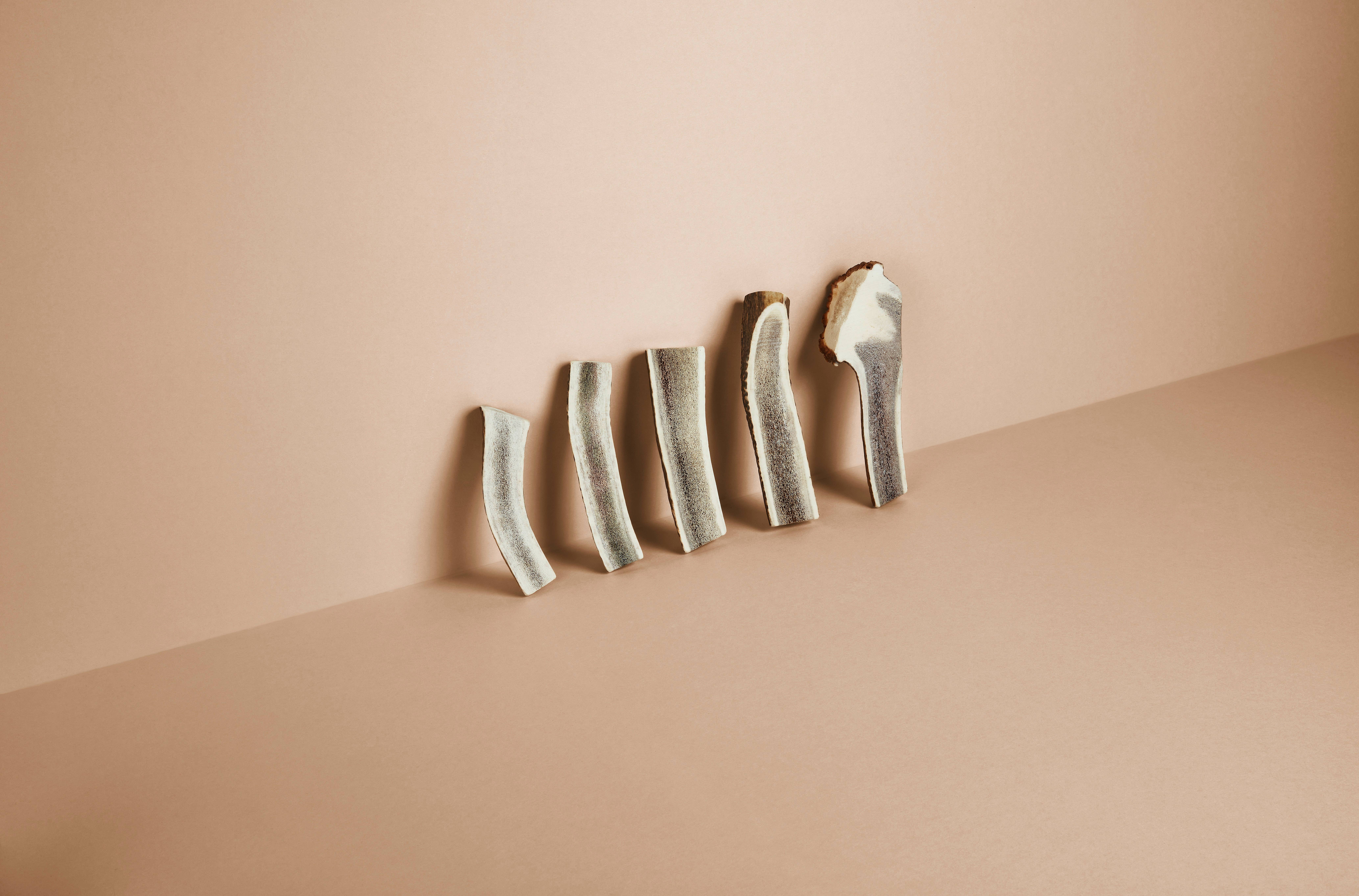 CANOPHERA GmbH - Wholesale Pet Chew Toy - Dog - Dog Chew Made Of Red Deer Antler Splits.