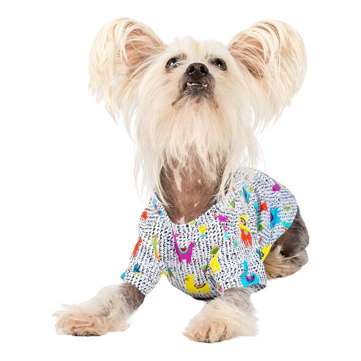 Vibrant Hound - Wholesale Pet shirt – Dog - No probllama dog shirt4