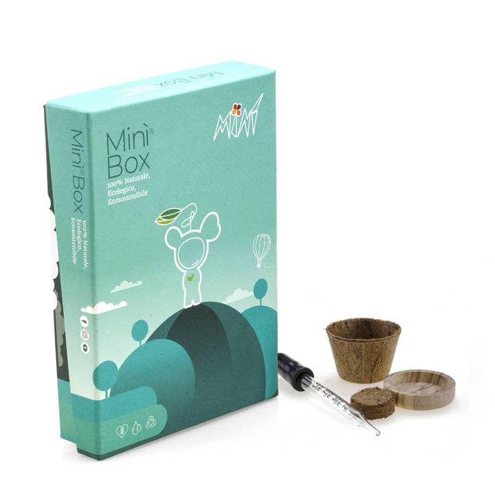 MINÌ®Italia di Luigi Paolicchi - Wholesale DIY Craft Kit - Minì Box Fun (small cactus plants always with you)11