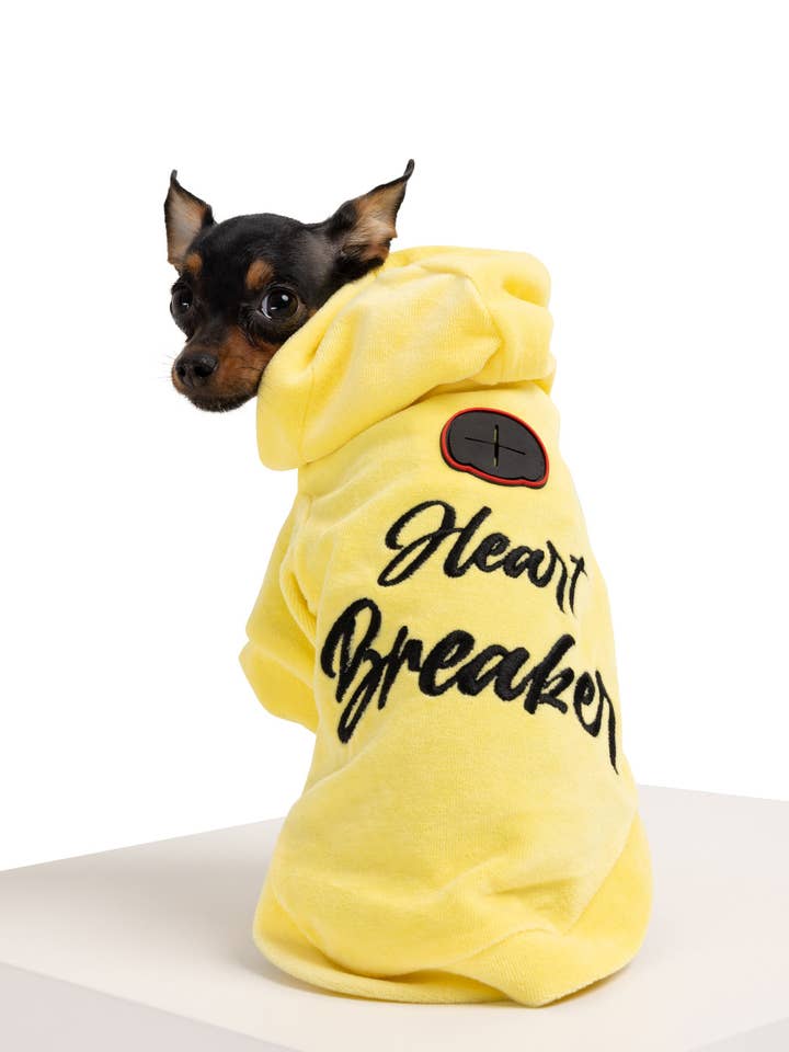 Heart Breaker Dog hættetrøje for engroshandel hos MOSHIQA