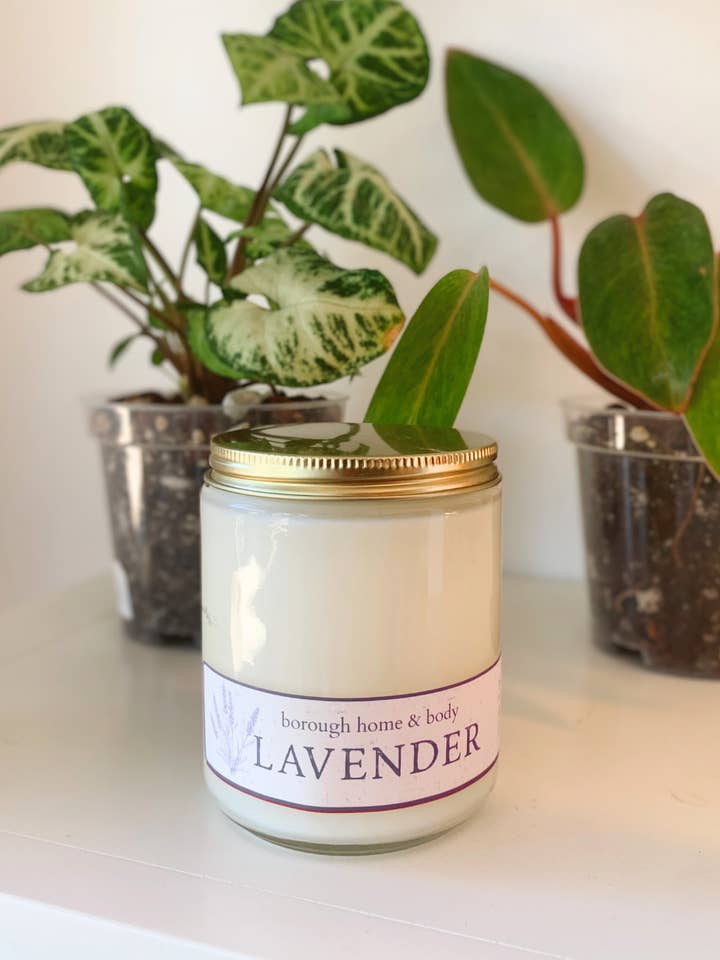Lavender for wholesale by Borough Home