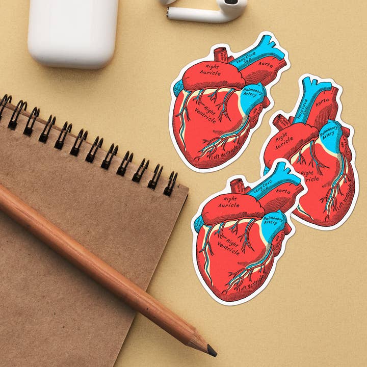 Anatomical Heart Laptop Stickers for wholesale by PRRINT!