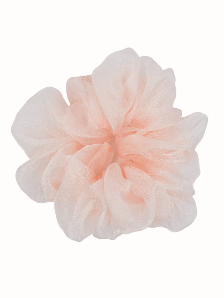 Rose Polly pour la vente par Livy Lou Collection