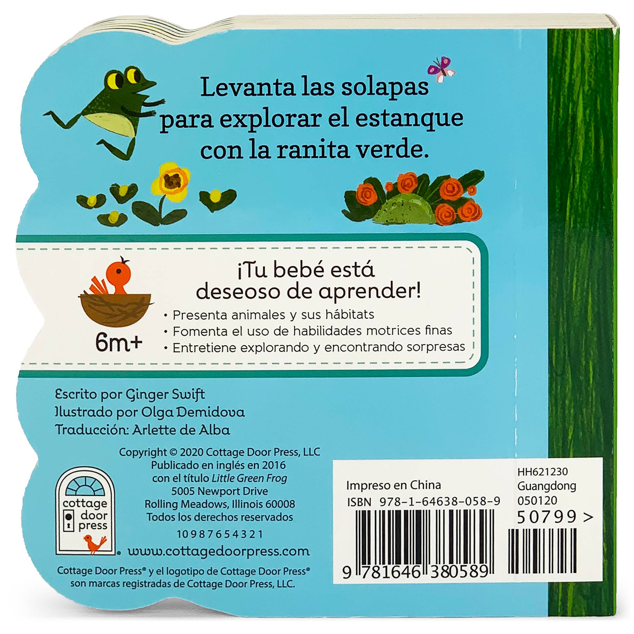Cottage Door Press - Wholesale Baby & Toddler Book (0-2) - La Ranita Verde / Little Green Frog (Spanish Edition)2