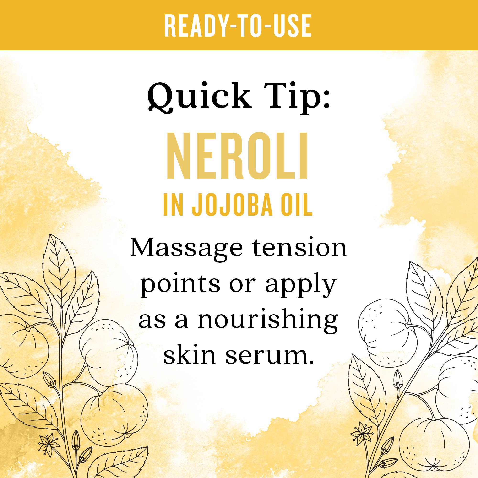 Aura Cacia - Wholesale Essential Oil - Ready To Use Neroli Essential Oil In Jojoba Oil, 0.5 Fl Oz3