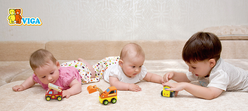 Trade Toys Limited - Wholesale Wood Toy - Kids - Viga Mini Vehicles2