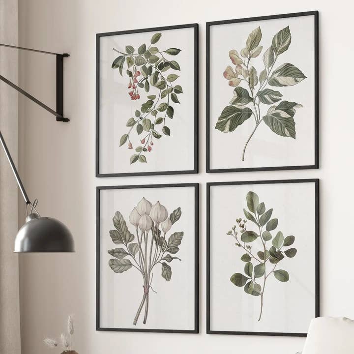 Vintage Plant Drawing Posters. Set of 4 Floral Art Prints for wholesale by PrintSets.com