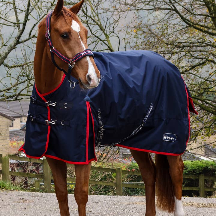 Rastrick V2 100g Turnout Horse Rug for wholesale by John Whitaker International Ltd