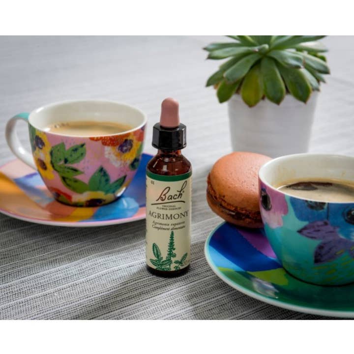 Ecohesens - Wholesale Oral supplement/vitamin - Agrimony (Agrimony) 20 ml - Bach Original3