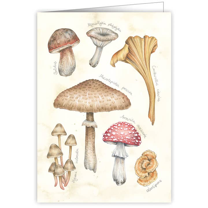 Actetre Deutschland Gmbh - Wholesale Everyday Greeting Card - Pilze (o. T.)