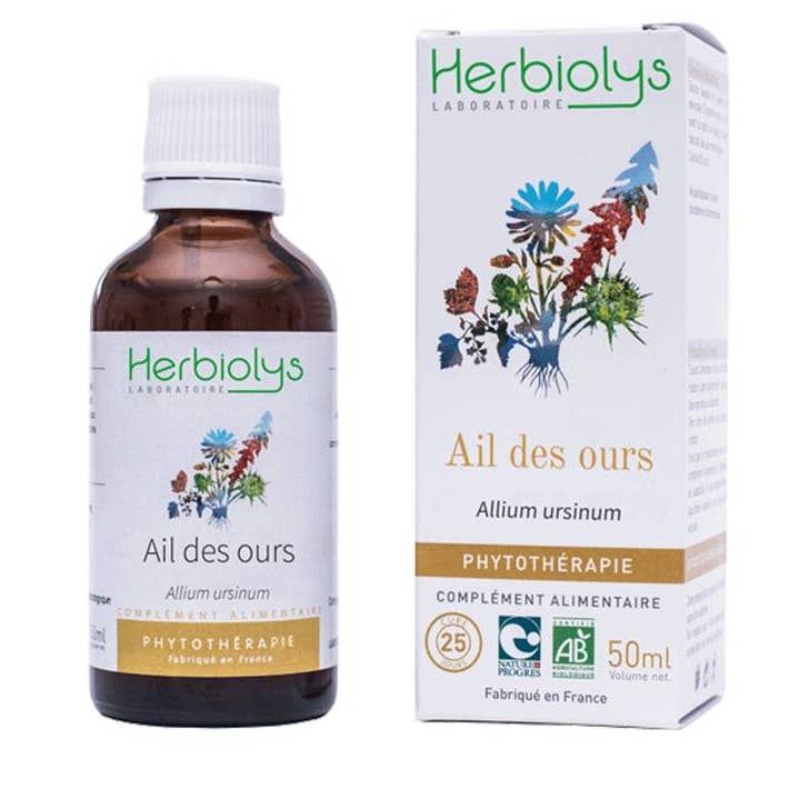 Ail Des Ours Phytothérapie pour la vente par Herbiolys