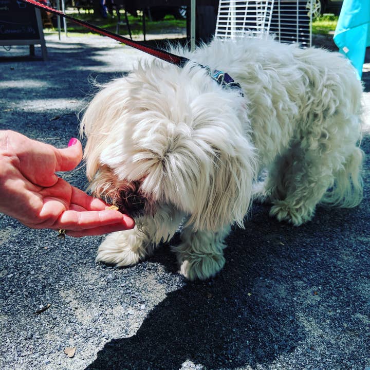 Charlie's Treats Bakery - Wholesale Pet Treats - Dog - Salmon Snacks - 1 lb.1