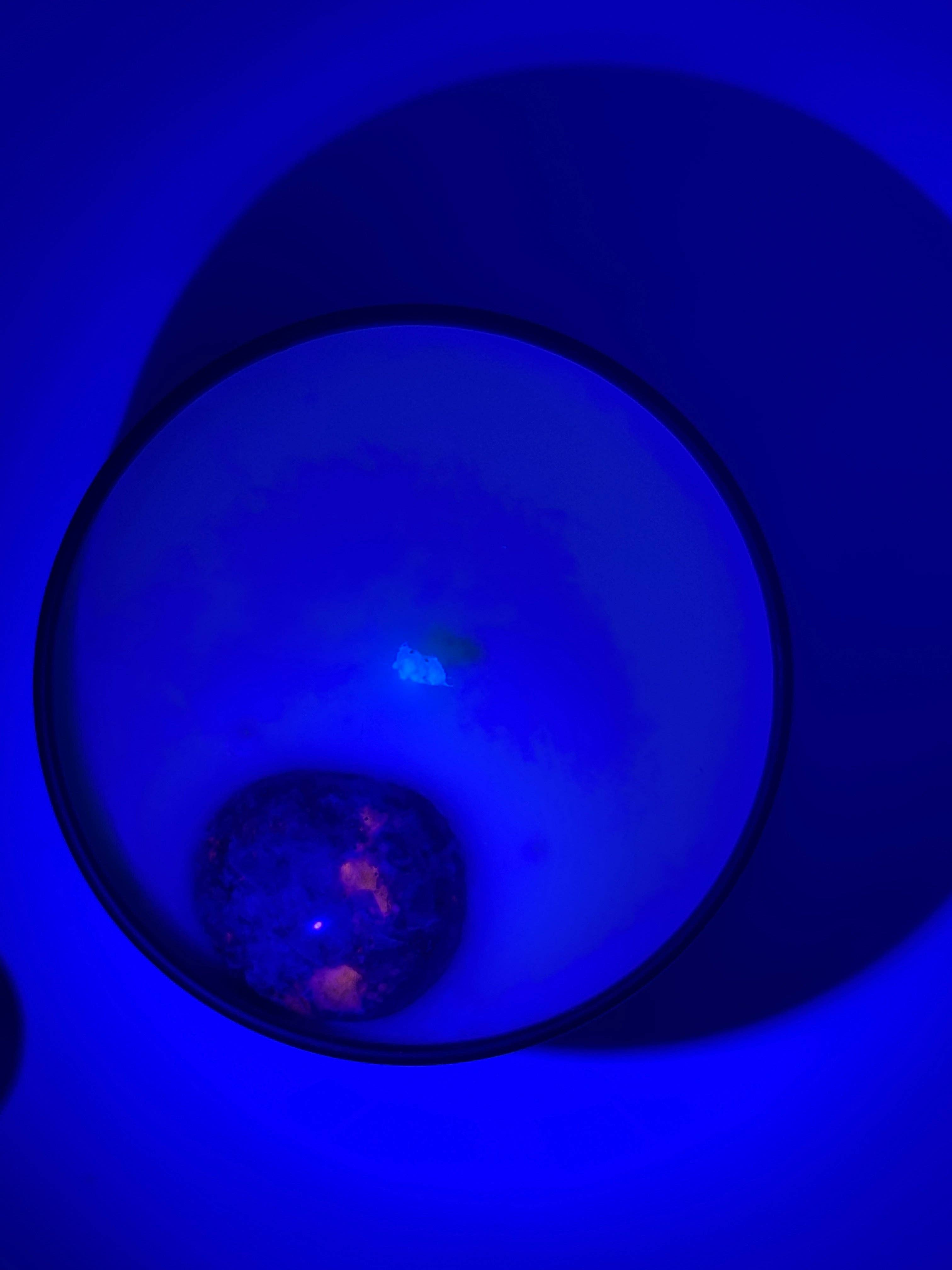 Little Traverse Bay Candle Company - Wholesale Jar/Filled Candle - Emberlite0