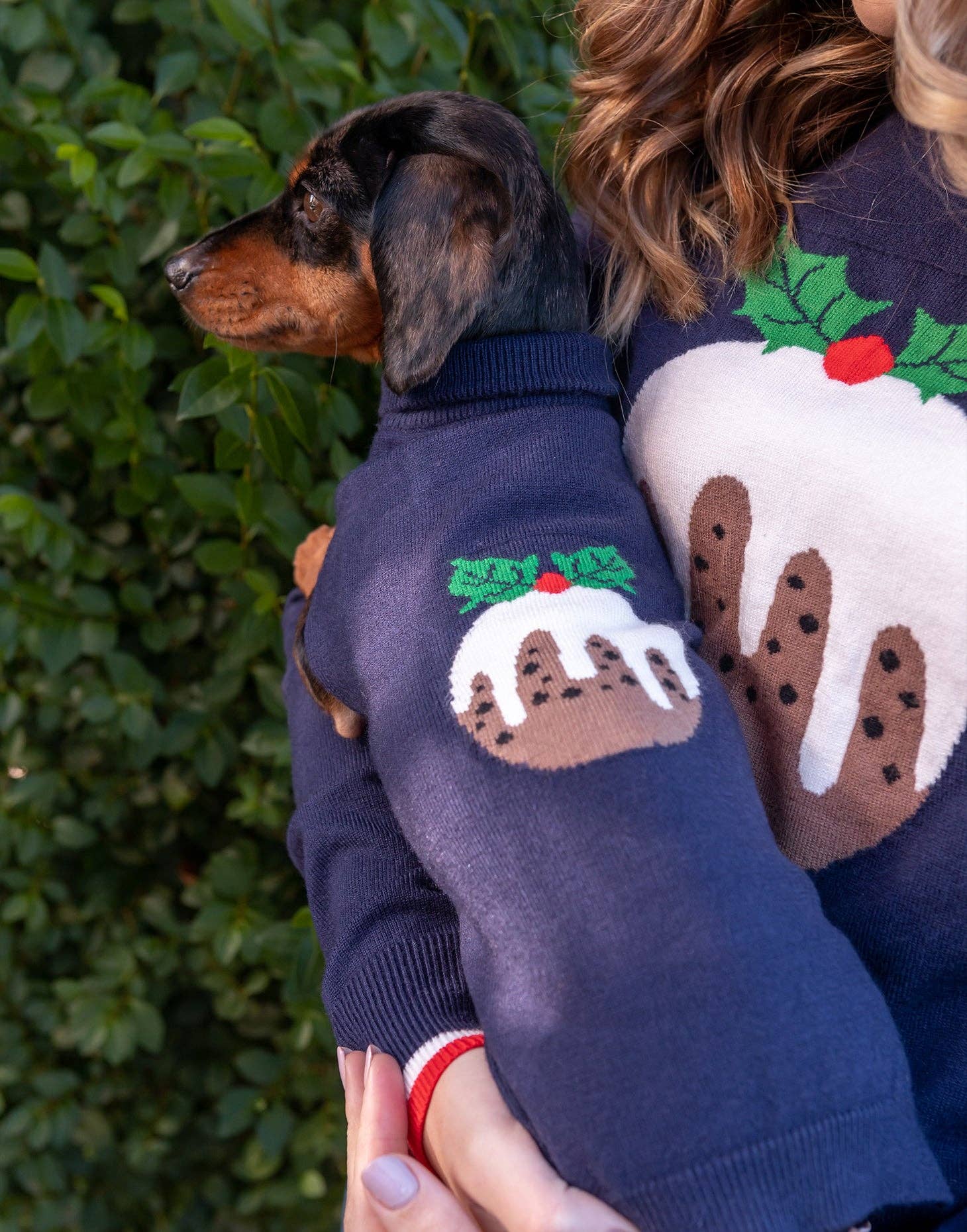 little pudding christmas jumper dog