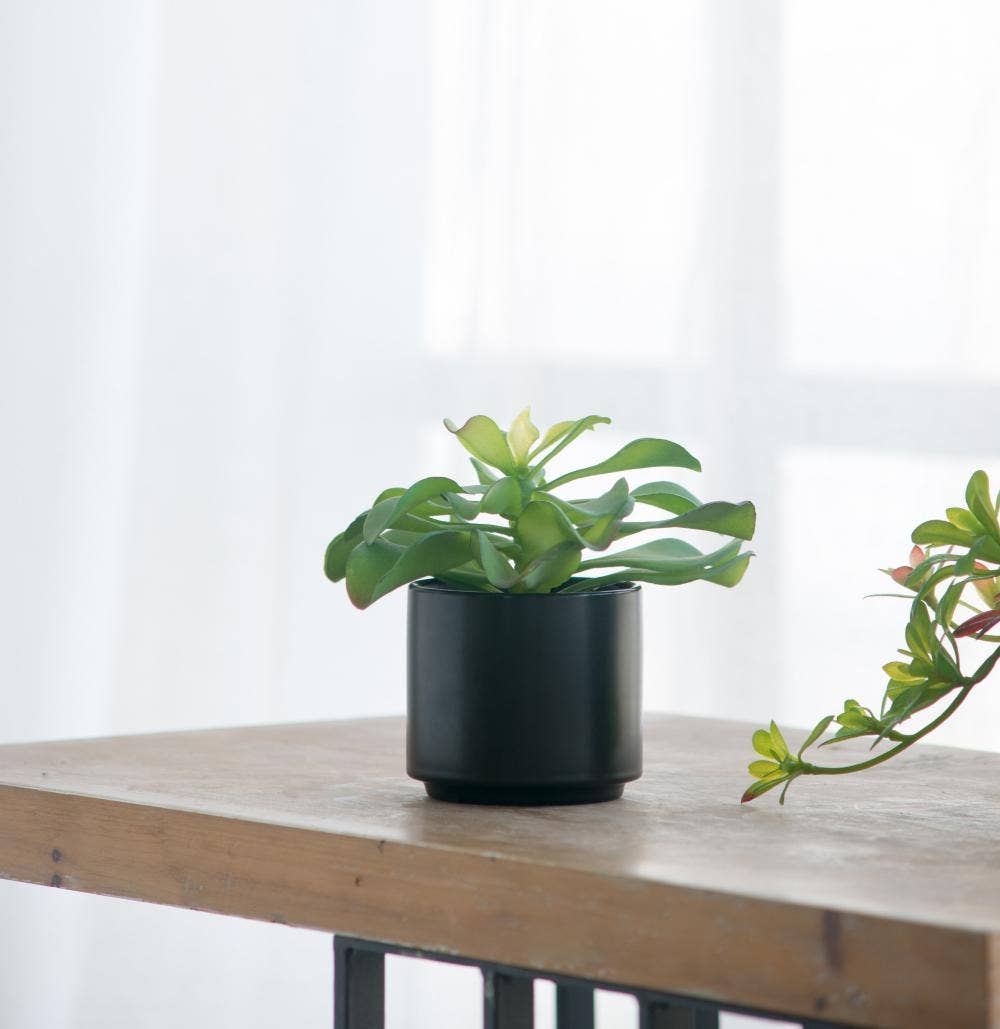 A&B Home Group Inc. – wholesale Artificial plant – Potted Succulent6