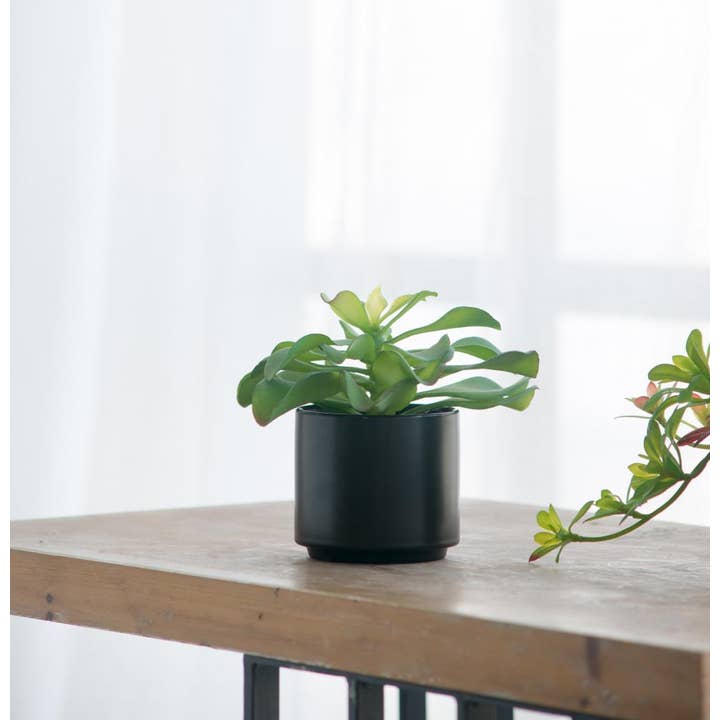 A&B Home Group Inc. – wholesale Artificial plant – Potted Succulent6
