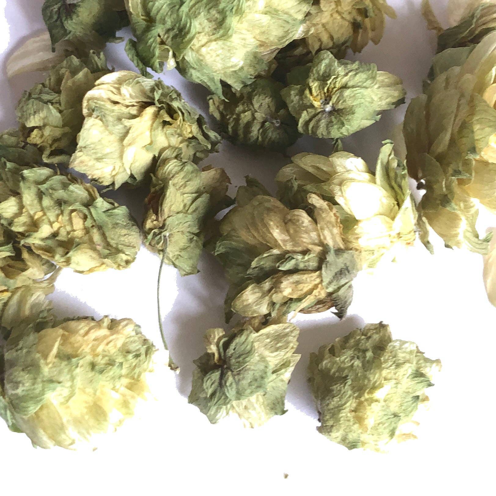 Smoke Camp Crafts - Wholesale Herbs - Cascade Hops, Dried - 1 oz or 4 oz1