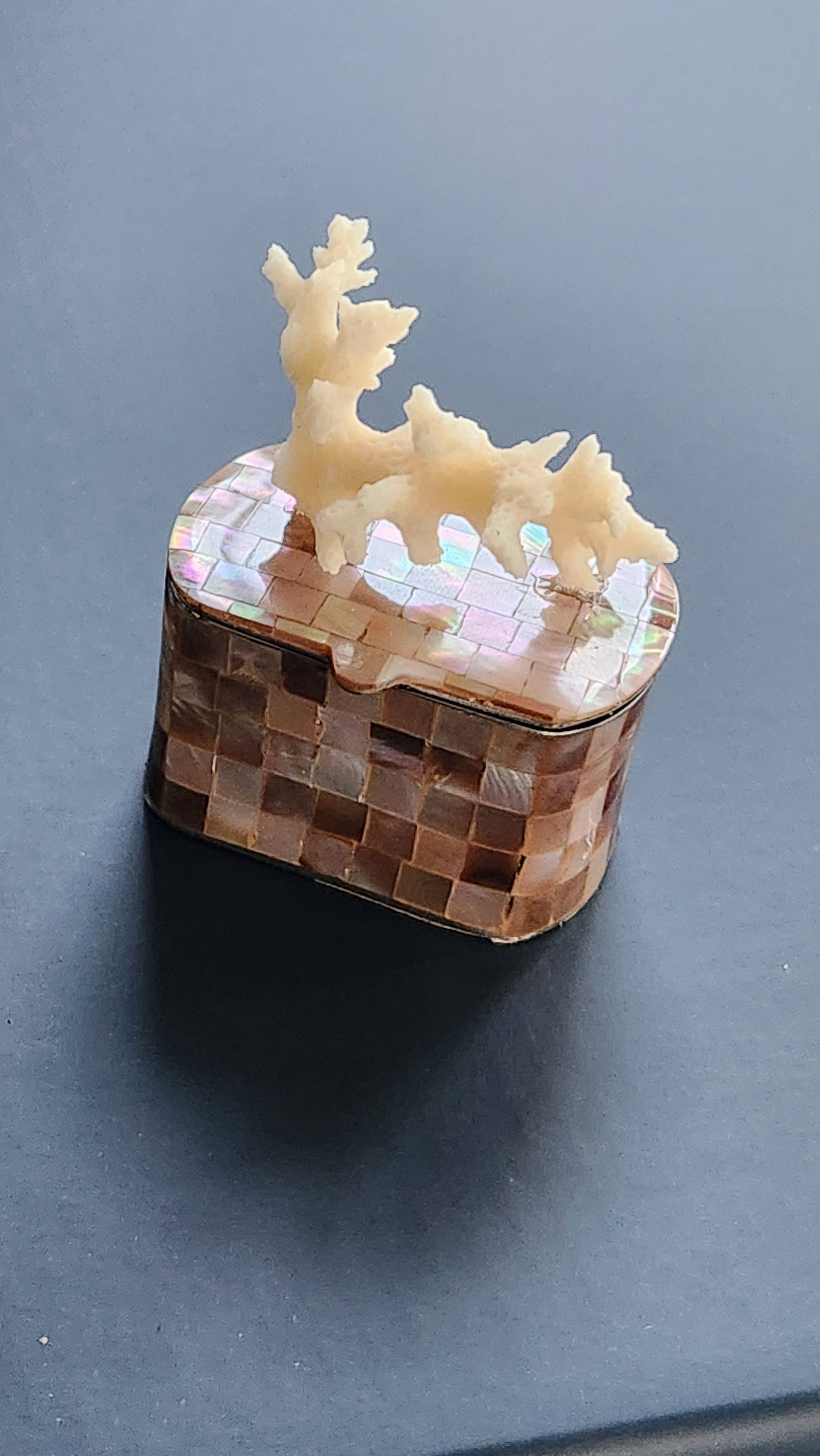 White Tulip Boutique - Wholesale Decorative Box - Mini Tawny Abalone MOP Shell Trinket Pill Box7