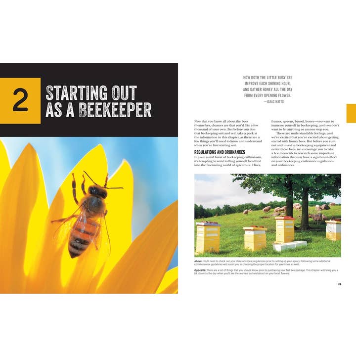 Microcosm Publishing & Distribution - Wholesale Nature & Outdoors - Beginner's Guide to Beekeeping: Everything You Need to Know2