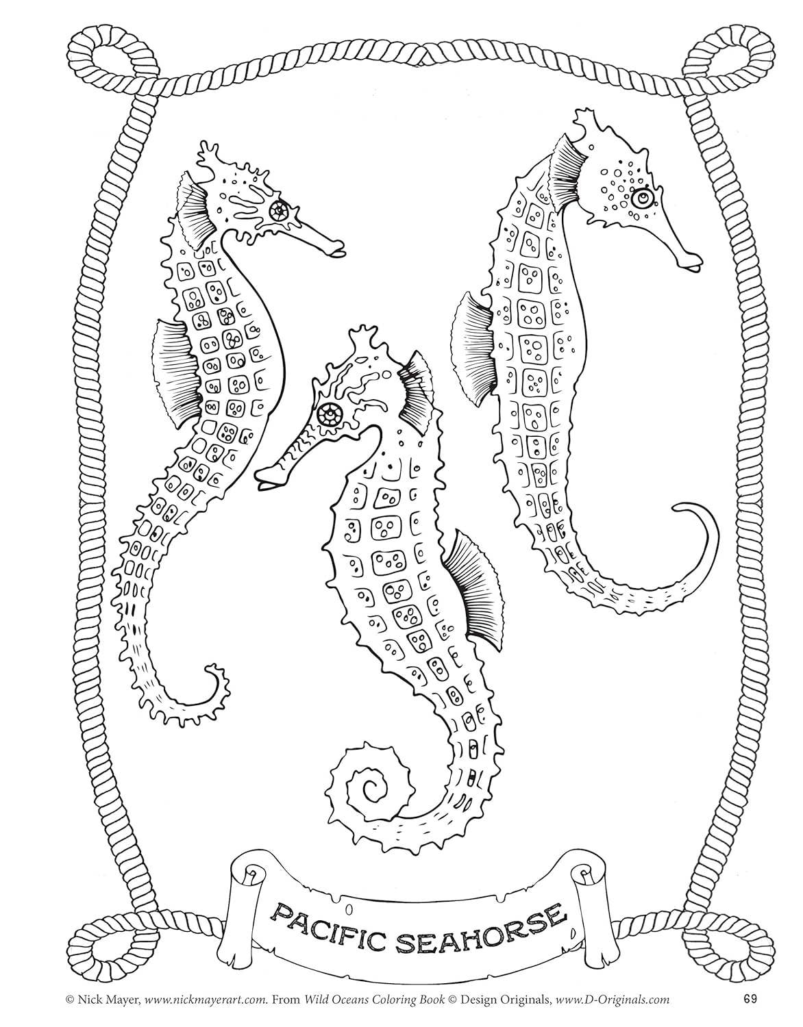 Fox Chapel Publishing - Vendita all'ingrosso Libro da colorare - Bambini e neonati - Libro da colorare Wild Oceans1