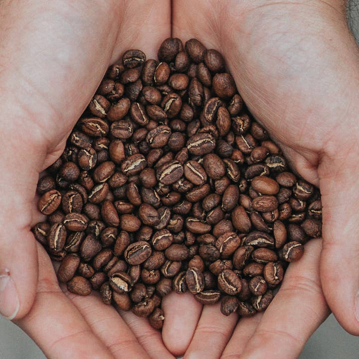 Well Bean Blend for wholesale by Sacred Bean