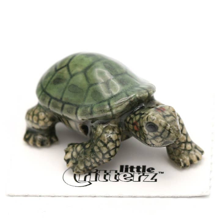 Ras Garden Turtle Porcelain Miniature for wholesale by Little Critterz