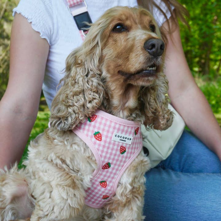 Cocopup London - Wholesale Pet Harness - Dog - Strawberry Picnic Pup Adjustable Neck HARNESS9