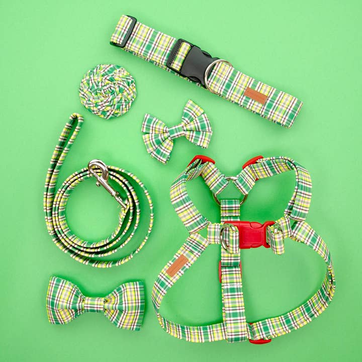 Puddle Jumper Pups – coleira - Cão por atacado – O Palmer5