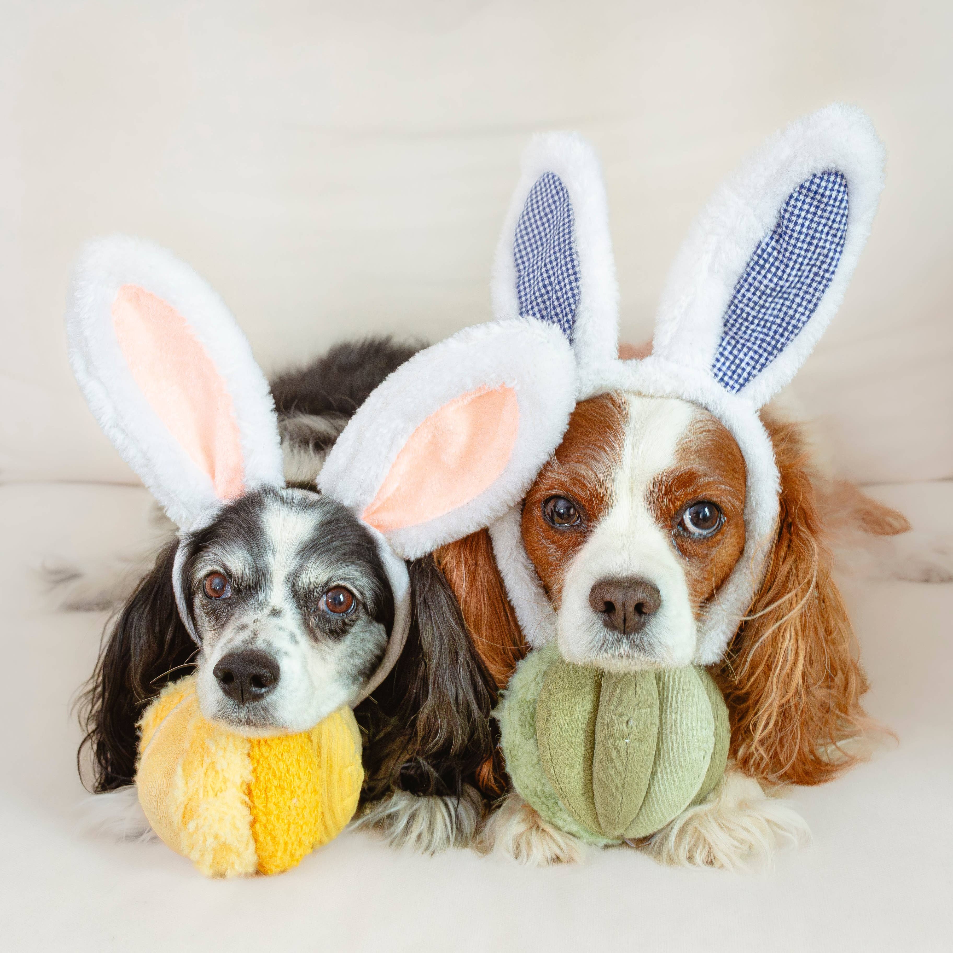 Lambwolf EU - Wholesale Pet Chew Toy - Dog - TOTO //Enrichment Toy ( small) 3