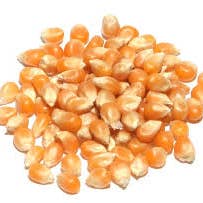 Yellow Butterfly Kernels | 10oz | DIY for wholesale by Poppington's