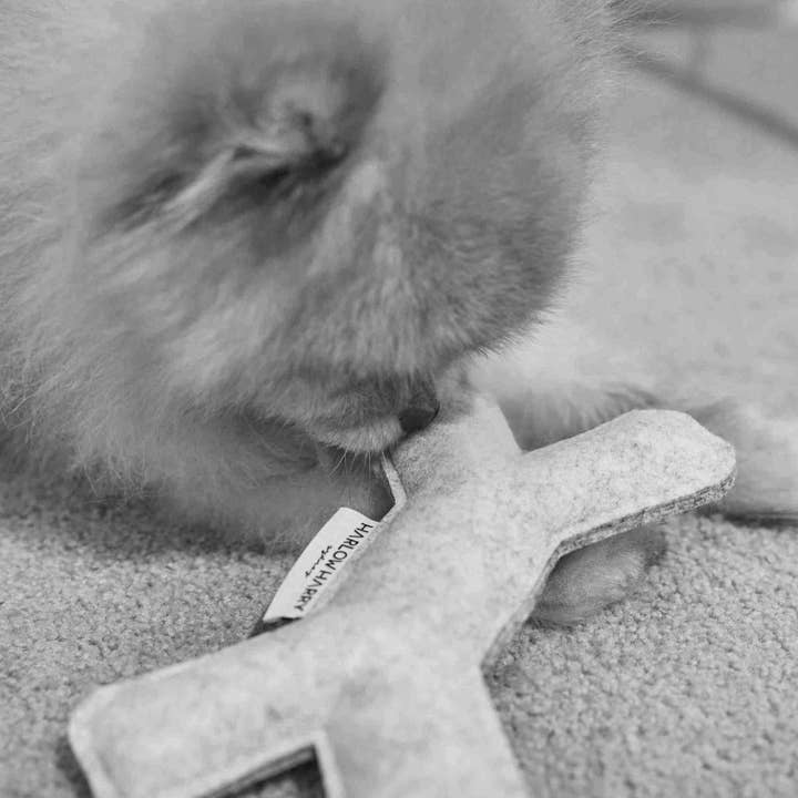 HARLOW HARRY - Wholesale Pet Toy - Dog - Dog Toy | Felt Bone3