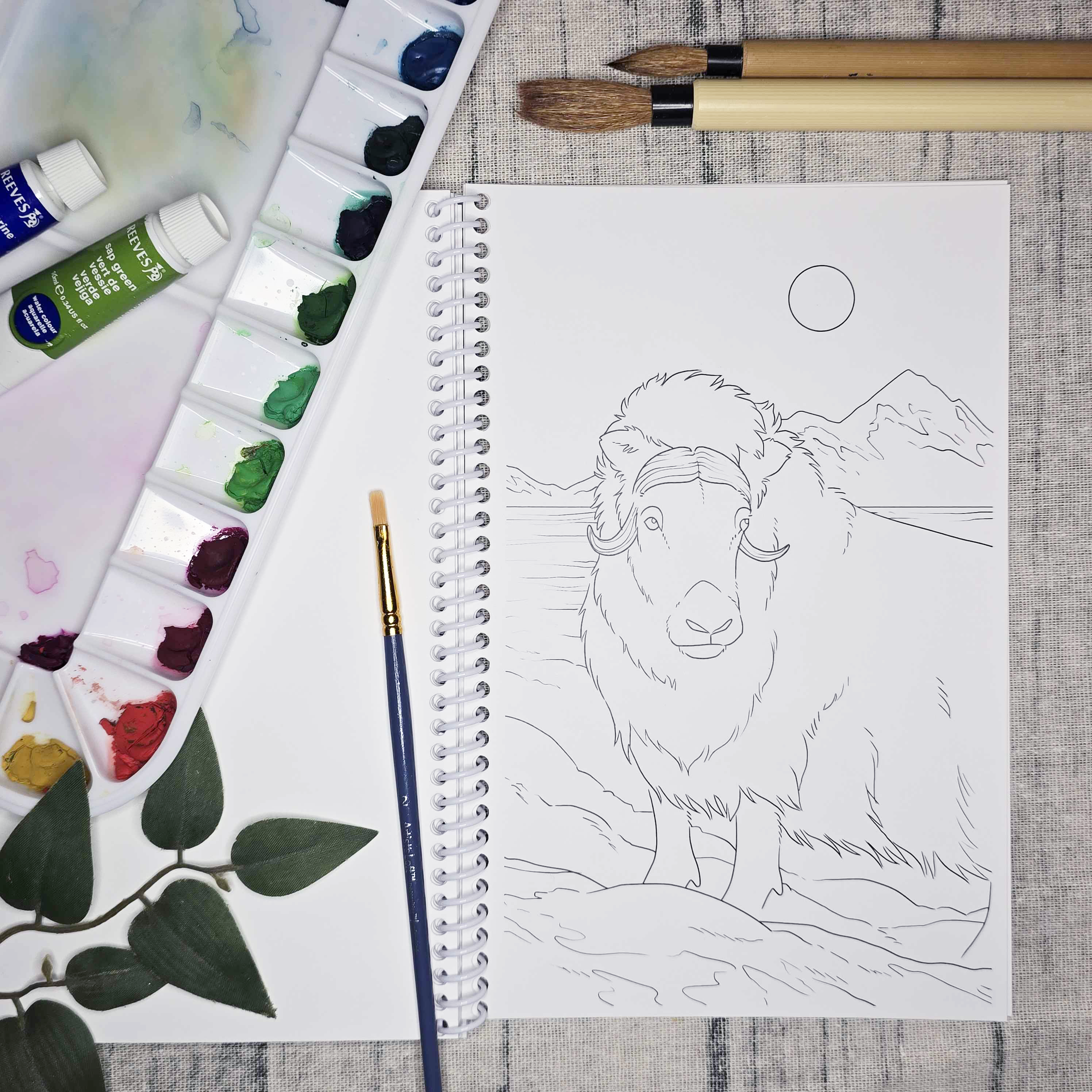 The Snow Finch - Vendita all'ingrosso Libro da colorare e attività - Adulti - Libro d'arte da colorare dell'Alaska artica6