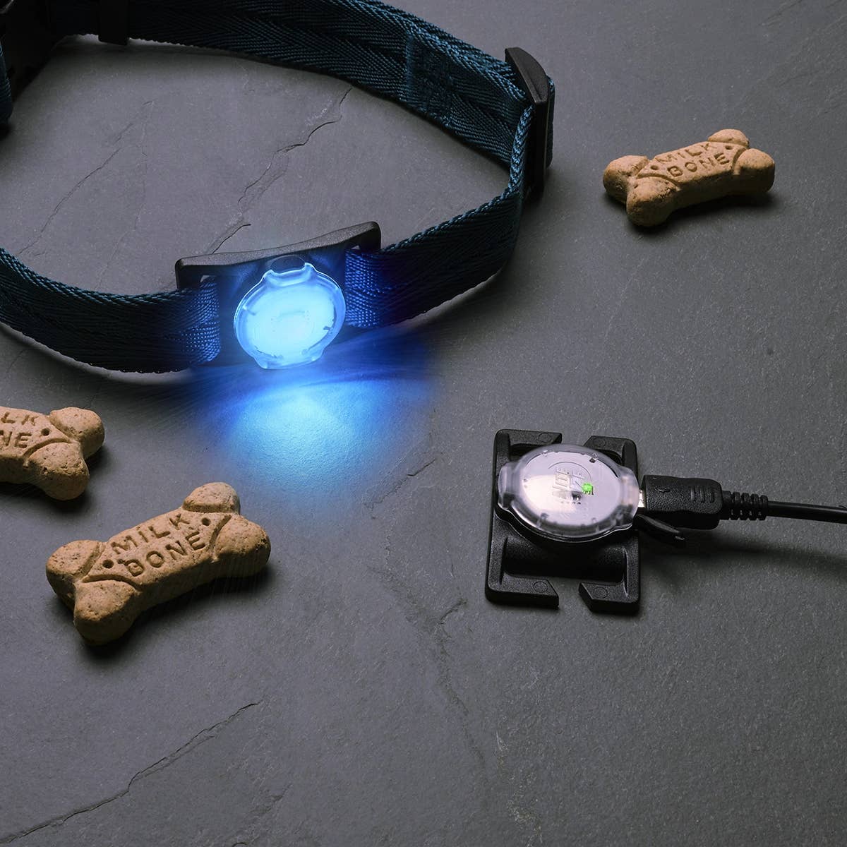 Pet Palette Distribution - Wholesale Pet Collar - Dog - Nite Ize NiteDog™ Rechargeable Pet Light - Disc-O Tech™3