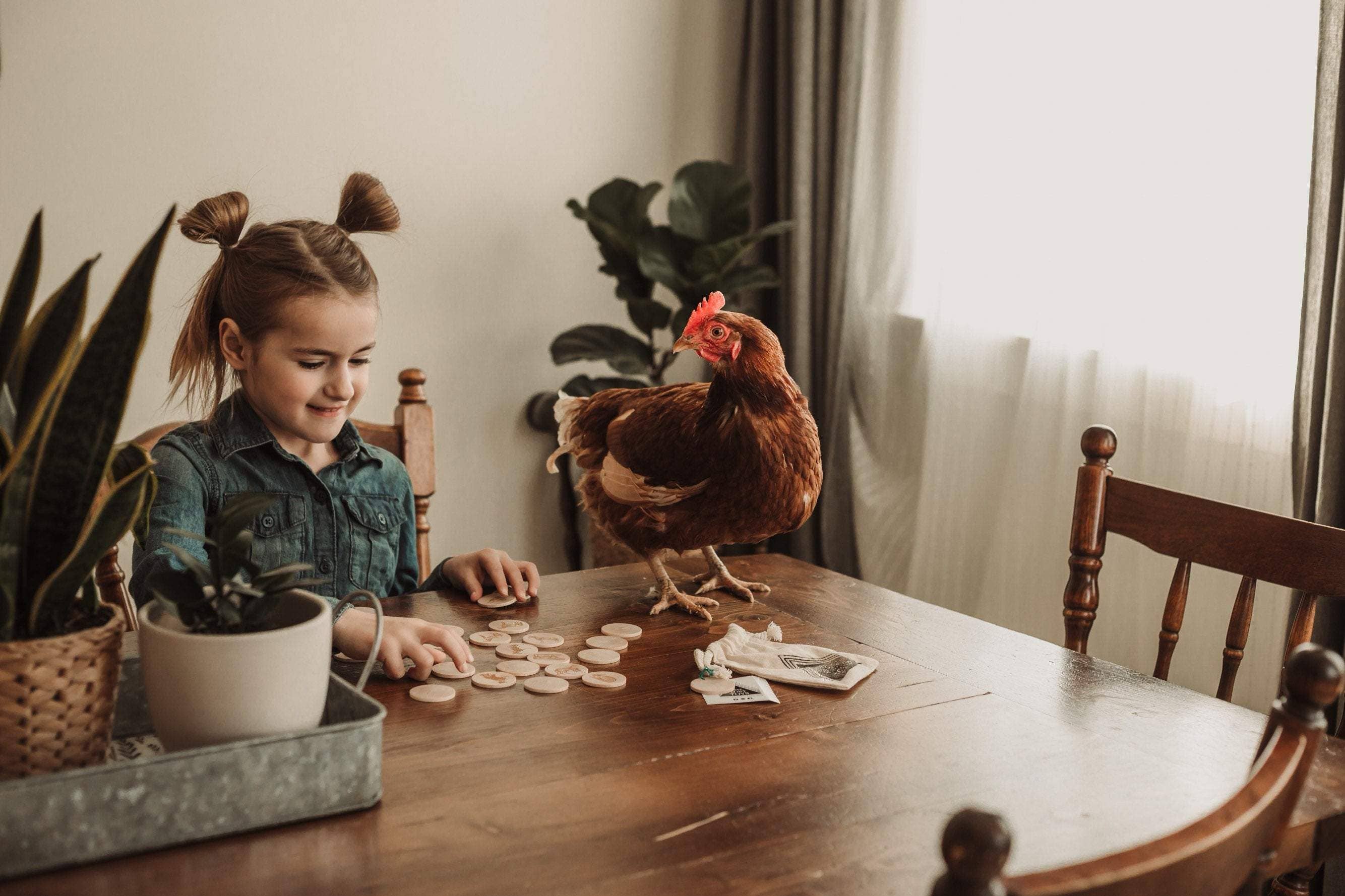 Tree Fort Toys - Wholesale Brain Game - Kids - Farm Animal Memory Matching Game1