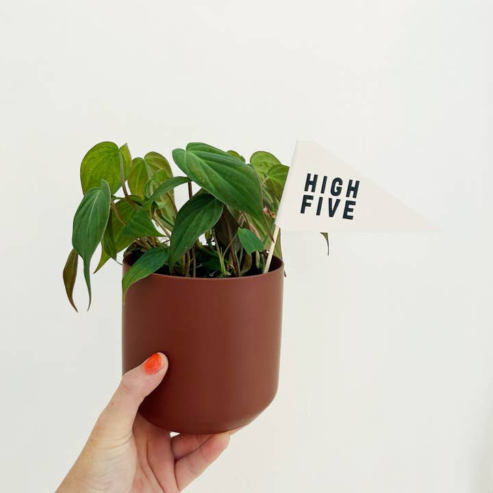 Handpicked Goods - Vendita all'ingrosso Paletti da giardino/prato - Bandiera High Five