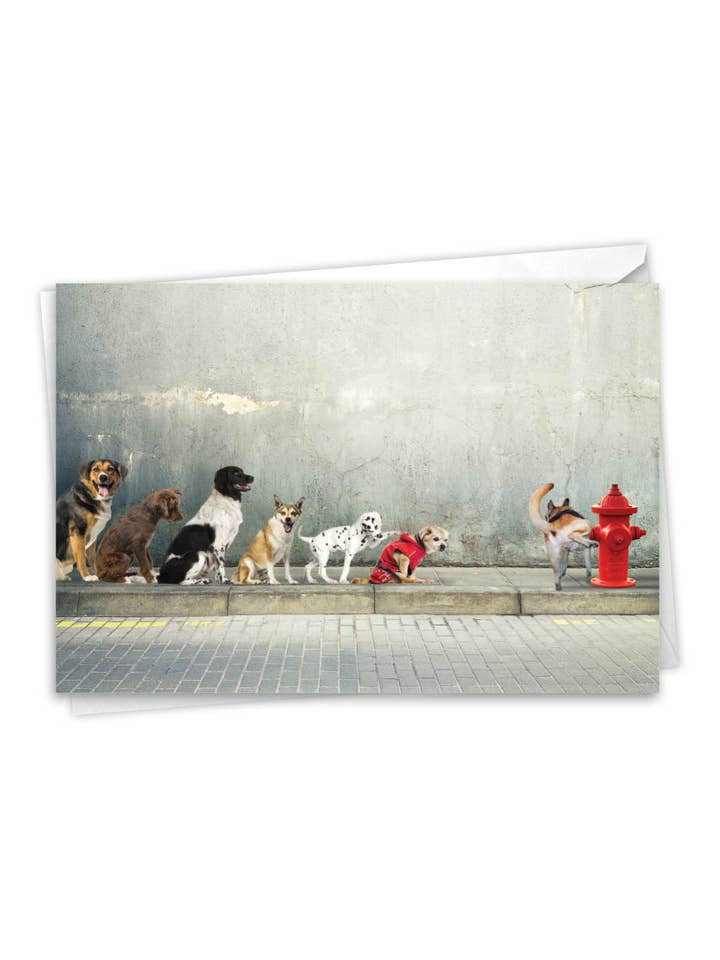 Birthday Card - Dear John for wholesale by NobleWorks