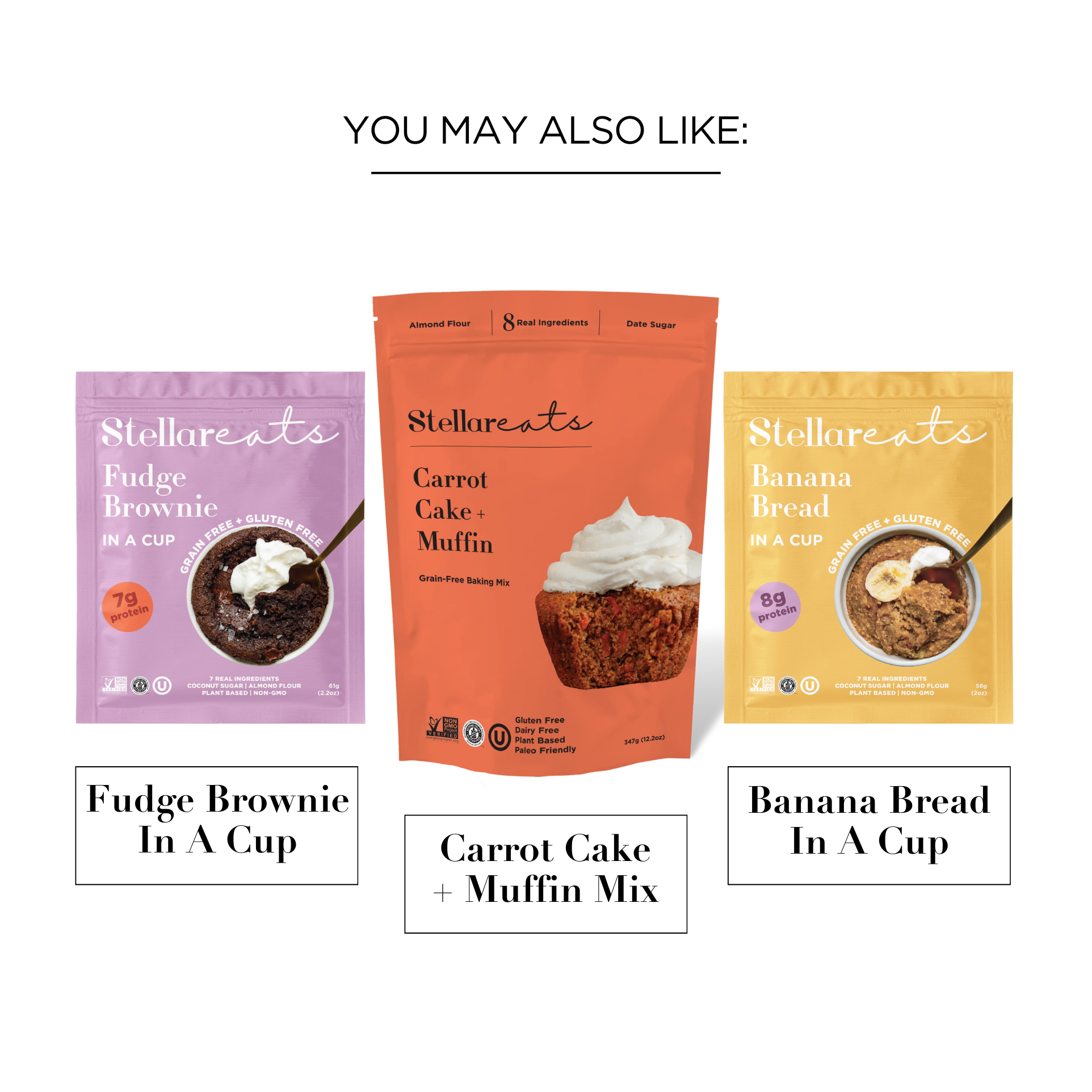 Stellar Eats - Wholesale Cake Mix - Instant Treat: Carrot Cake In A Cup8