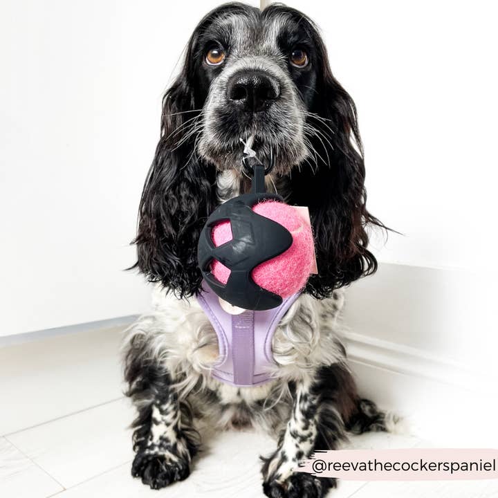 Cocopup London - Wholesale Pet Fetch Ball - Dog - Tennis Ball Holder - Black2