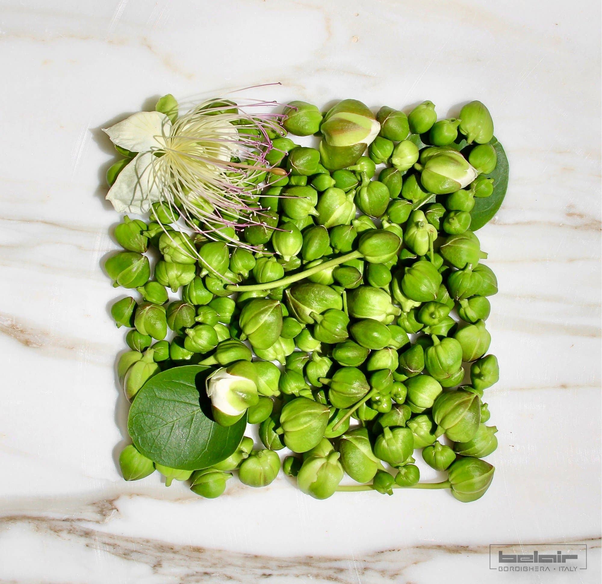 BELAIR | Bordighera - Vente Légumes marinés - CÂPRES1