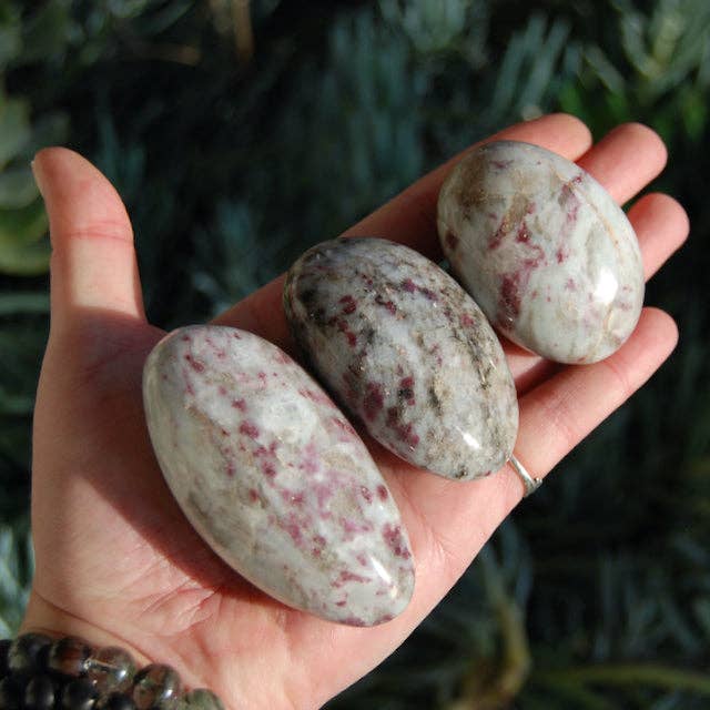 Caspar Curiosities - Wholesale Spiritual Stone/Crystal - ONE XL Pink Tourmaline Rubellite Crystal Palm Stone, Madagascar