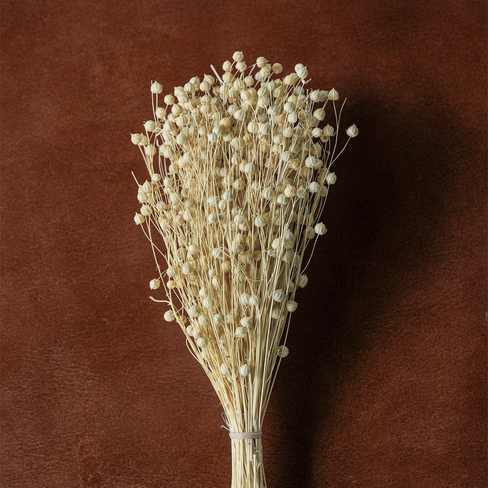 Blue Ocean Traders - Wholesale Dried/Pressed Flowers - Mixed Dried Grasses and Florals Bleached, 12"6