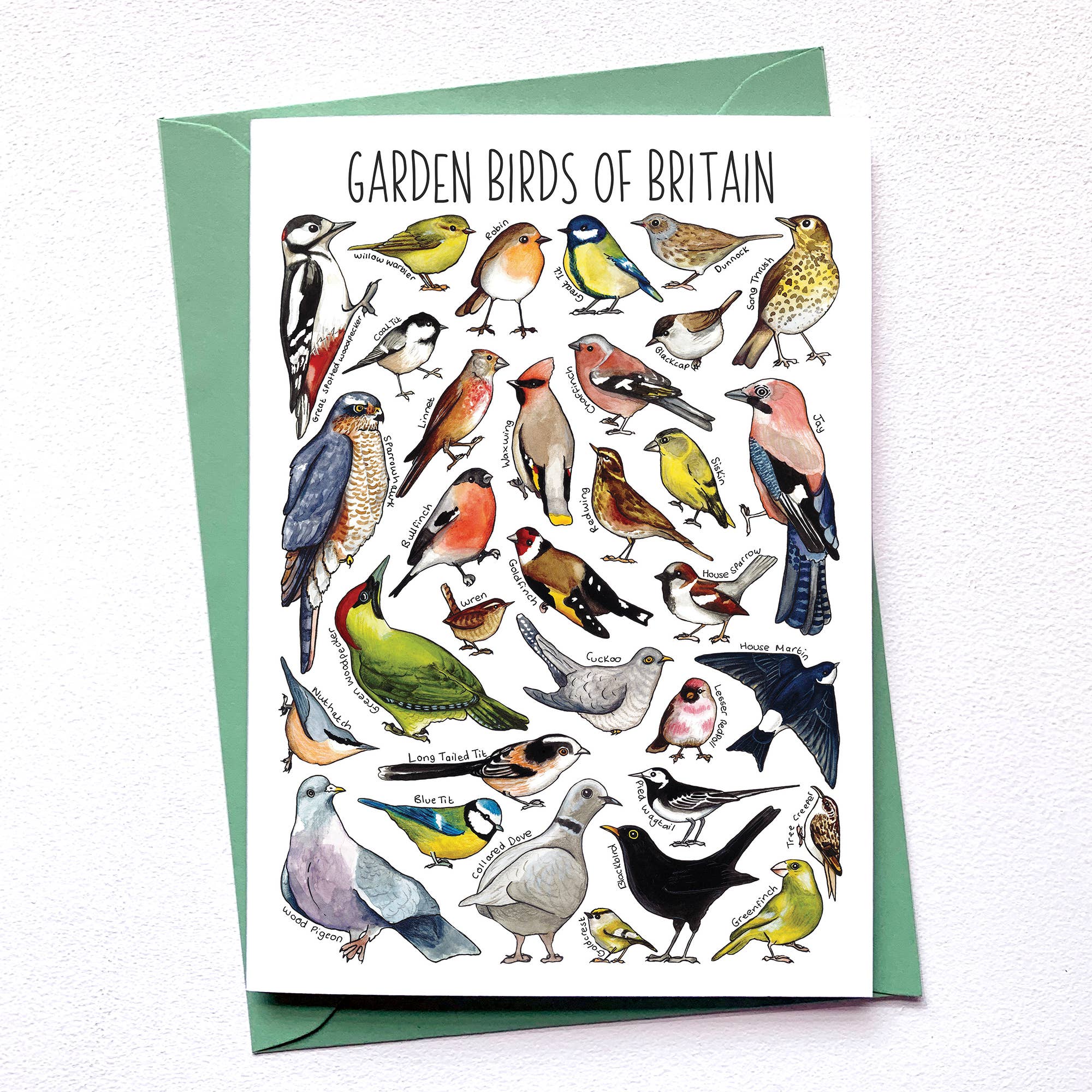 Alexia Claire Ltd - Wholesale Everyday Greeting Card - Garden Birds of Britain Art Blank Greeting Card2
