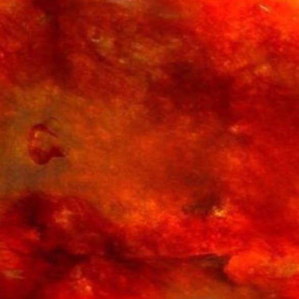 Red Jade for wholesale by Northern Prairie Candle Company