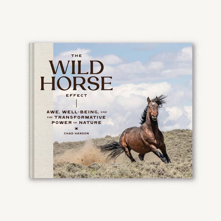 Chronicle Books - Wholesale Nature & Outdoors - Wild Horse Effect