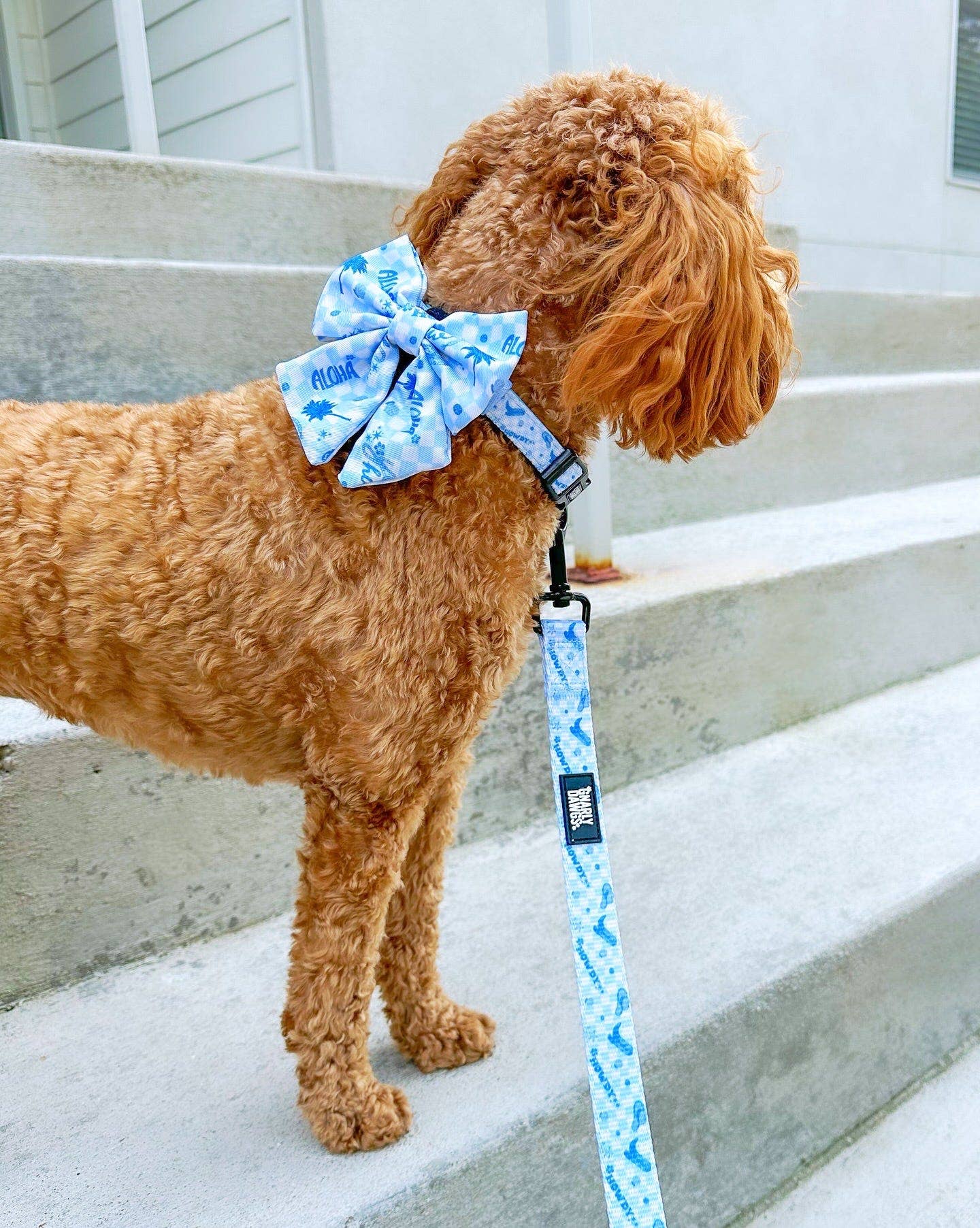 Gnarly Dawgs Pet Products - Wholesale Pet Bow Tie - Dog - The Cowabunga Sailor Bow