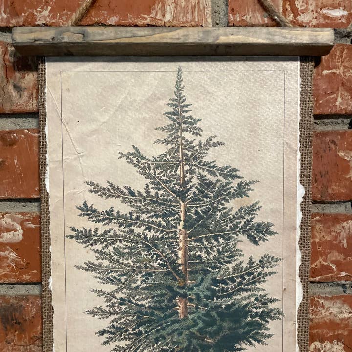 LAND OF COTTON - Wholesale Plaque - Balsom Fir Botanical Plate Plaque 1
